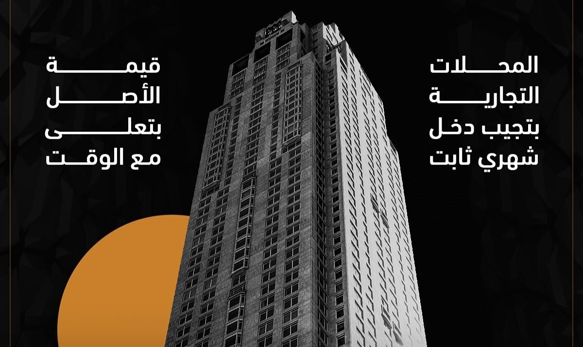 كيف تضمن نجاح استثمارك في برج العرب الجديدة؟